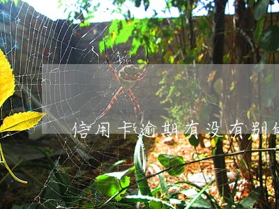 信用卡逾期有没有别的办法 信用卡逾期有没有别的办法