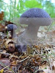 信用卡逾期有没有办法改征信