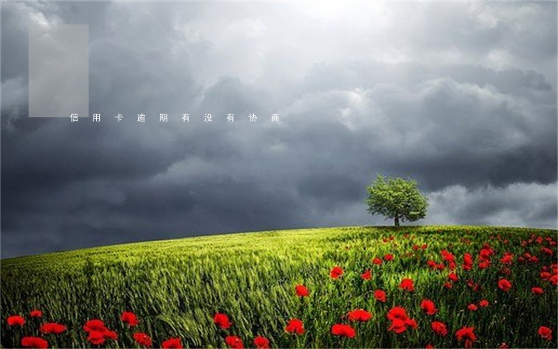 信用卡逾期有没有协商 信用卡逾期有没有协商