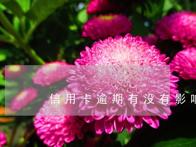信用卡逾期有没有影响孩子