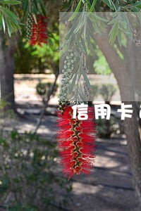 信用卡逾期有没有时效性
