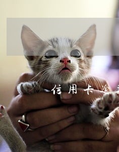 信用卡逾期有没有最低还款 信用卡逾期有没有最低还款