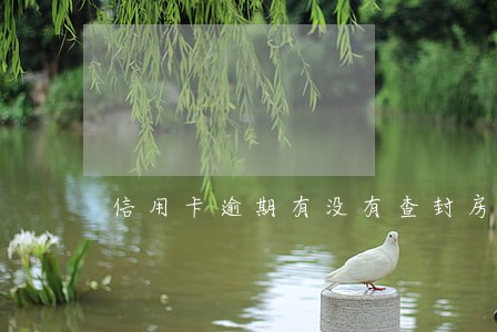 信用卡逾期有没有查封房子的 信用卡逾期有没有查封房子的