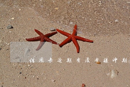 信用卡逾期有没有缓冲期 信用卡逾期有没有缓冲期