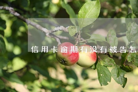 信用卡逾期有没有被告怎么查 信用卡逾期有没有被告怎么查