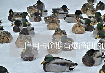 信用卡逾期有爆通讯的吗 信用卡逾期有爆通讯的吗