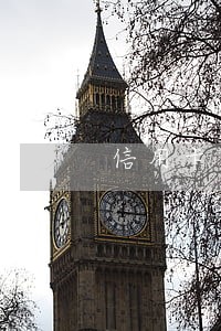 信用卡逾期有社会单位救助吗