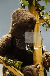 信用卡逾期有第三方跟我协商减免