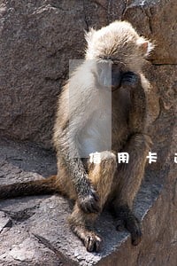 信用卡逾期有精准扶贫户怎么协商 信用卡逾期有精准扶贫户怎么协商