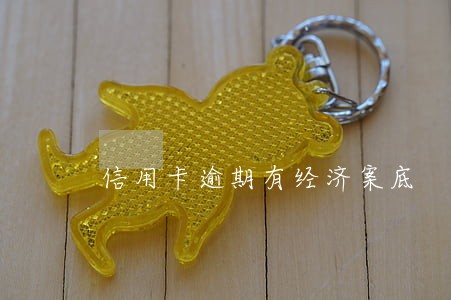 信用卡逾期有经济案底 信用卡逾期有经济案底