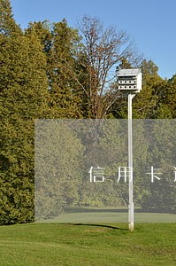 信用卡逾期有肺小结节 信用卡逾期有肺小结节