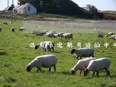 信用卡逾期有诉讼中心打来电话