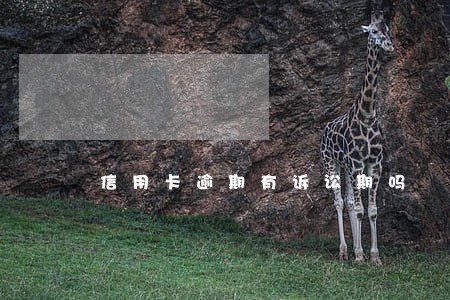 信用卡逾期有诉讼期吗 信用卡逾期有诉讼期吗