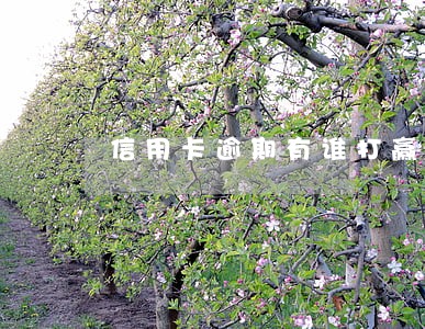 信用卡逾期有谁打赢过官司