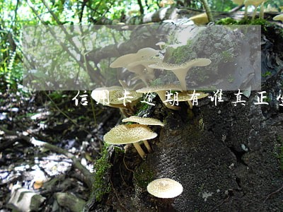 信用卡逾期有谁真正坐过牢 信用卡逾期有谁真正坐过牢