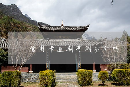 信用卡逾期有调查令吗 信用卡逾期有调查令吗