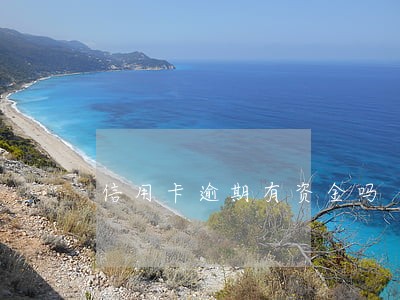 信用卡逾期有资金吗 信用卡逾期有资金吗