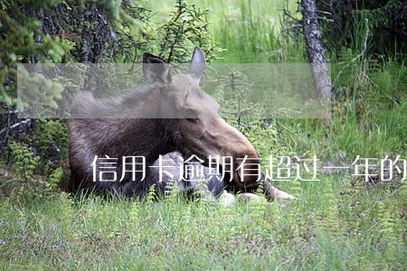 信用卡逾期有超过一年的么 信用卡逾期有超过一年的么