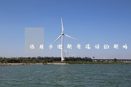 信用卡逾期有过诉讼期吗
