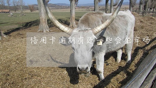 信用卡逾期有还一些会坐牢吗 信用卡逾期有还一些会坐牢吗