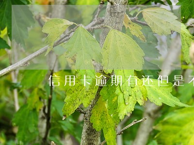 信用卡逾期有还但是不够最低