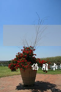 信用卡逾期有还款会被起诉吗 信用卡逾期有还款会被起诉吗