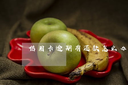 信用卡逾期有还款怎么办 信用卡逾期有还款怎么办