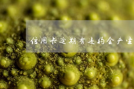 信用卡逾期有违约金产生但停催了 信用卡逾期有违约金产生但停催了