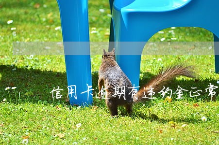 信用卡逾期有违约金正常吗 信用卡逾期有违约金正常吗