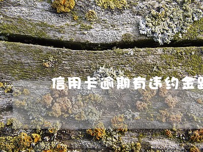 信用卡逾期有违约金跟利息合法吗
