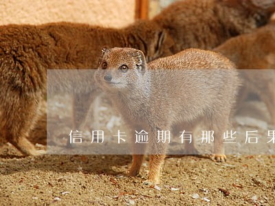 信用卡逾期有那些后果