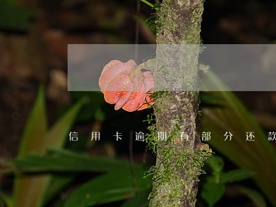信用卡逾期有部分还款期限 信用卡逾期有部分还款期限