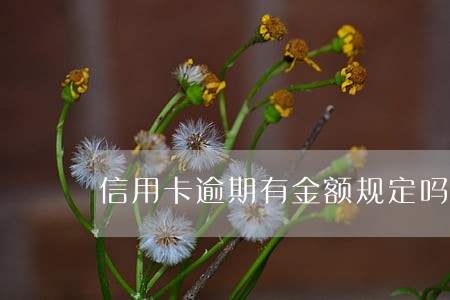 信用卡逾期有金额规定吗