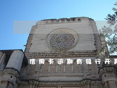 信用卡逾期有银行开具证明吗