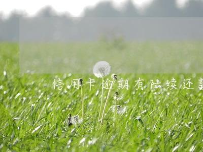 信用卡逾期有陆续还款行为 信用卡逾期有陆续还款行为