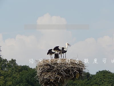 信用卡逾期有额度可以刷吗