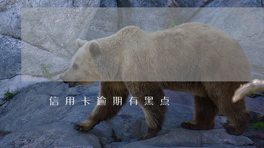 信用卡逾期有黑点