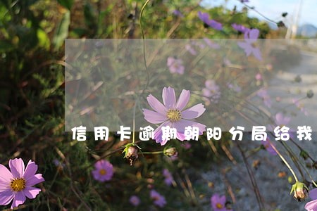 信用卡逾期朝阳分局给我打电话 信用卡逾期朝阳分局给我打电话