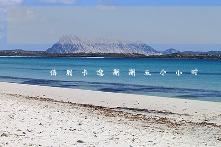 信用卡逾期期五个小时 信用卡逾期期五个小时