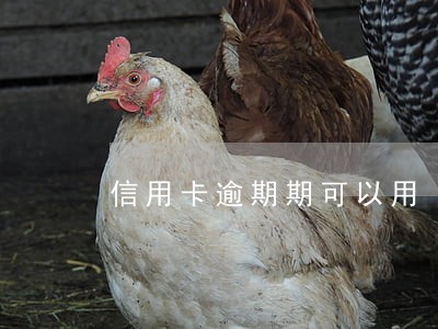 信用卡逾期期可以用 信用卡逾期期可以用