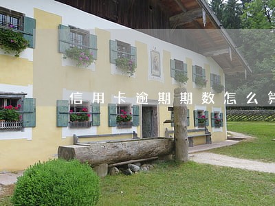 信用卡逾期期数怎么算的 信用卡逾期期数怎么算的