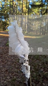 信用卡逾期期间刷卡
