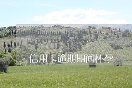 信用卡逾期期间怀孕