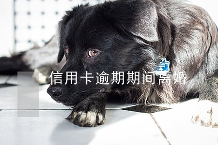 信用卡逾期期间离婚