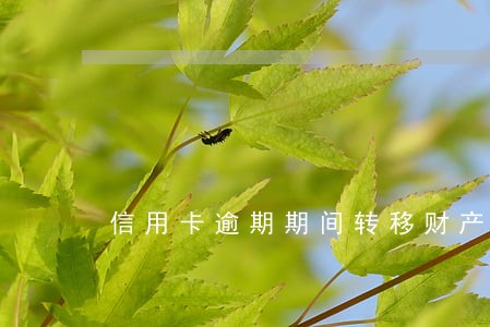 信用卡逾期期间转移财产 信用卡逾期期间转移财产