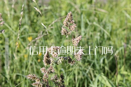 信用卡逾期未上门吗 信用卡逾期未上门吗