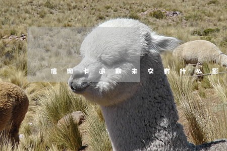 信用卡逾期未交有什么影响