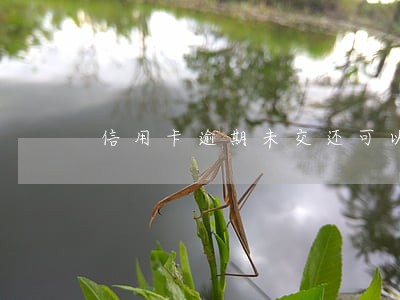 信用卡逾期未交还可以用吗 信用卡逾期未交还可以用吗