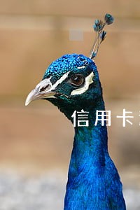 信用卡逾期未偿还如何协商 信用卡逾期未偿还如何协商