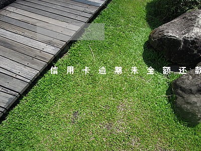信用卡逾期未全额还款会怎样 信用卡逾期未全额还款会怎样